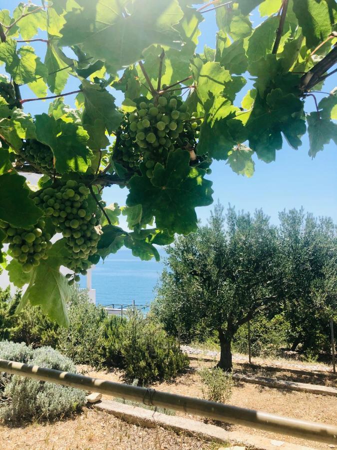Villa Dani Sea & Pool Apartments Trogir Ngoại thất bức ảnh